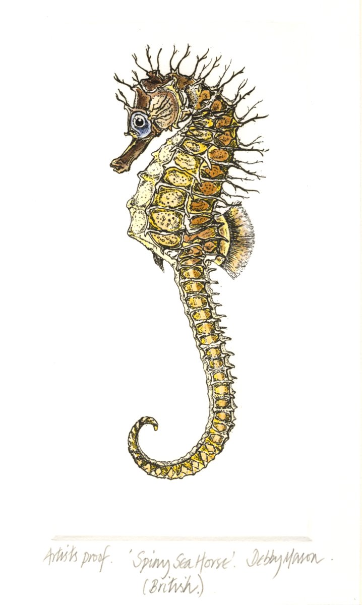 seahorse print