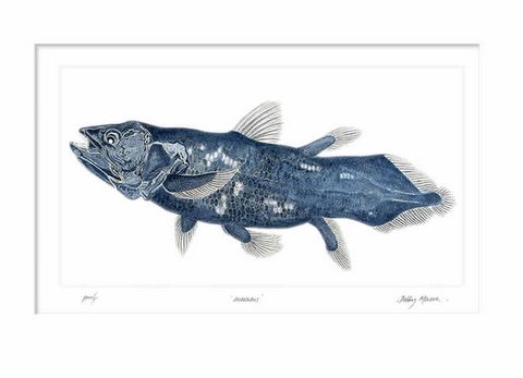 Coelacanth Blue