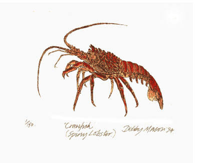 Crawfish (Spiny Lobster)