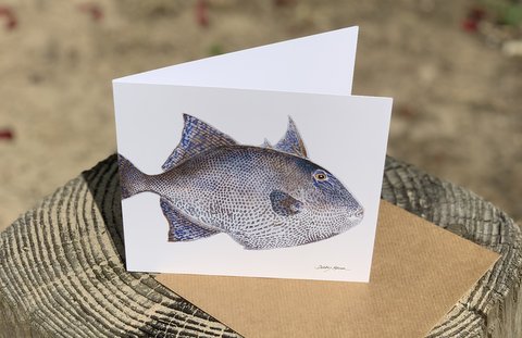 Grey Triggerfish Greetings Card