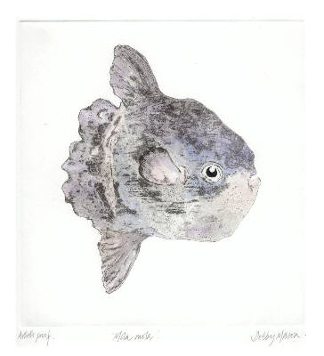 Mola Mola Sunfish (Medium)