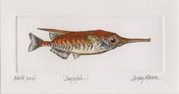Snipefish