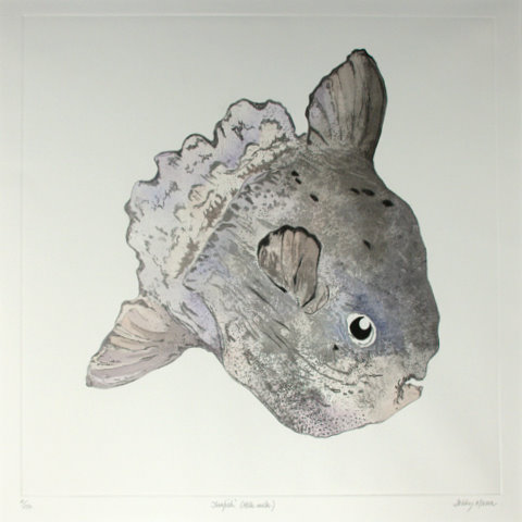 Sunfish Large