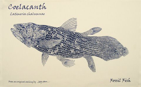 Coelacanth Tea Towel
