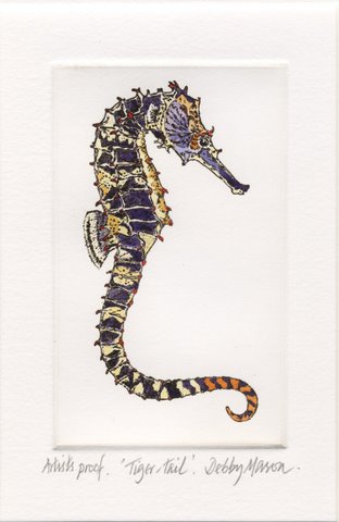 Tiger-tail Sea Horse (Hippocampus comes)