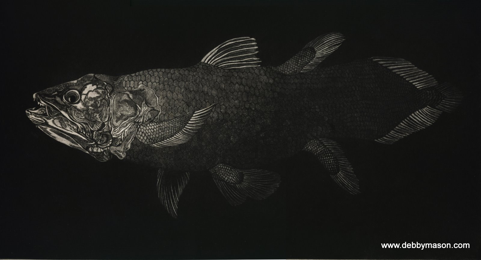 Coelacanth - Coral Seas Hand Coloured Etching Print by ...