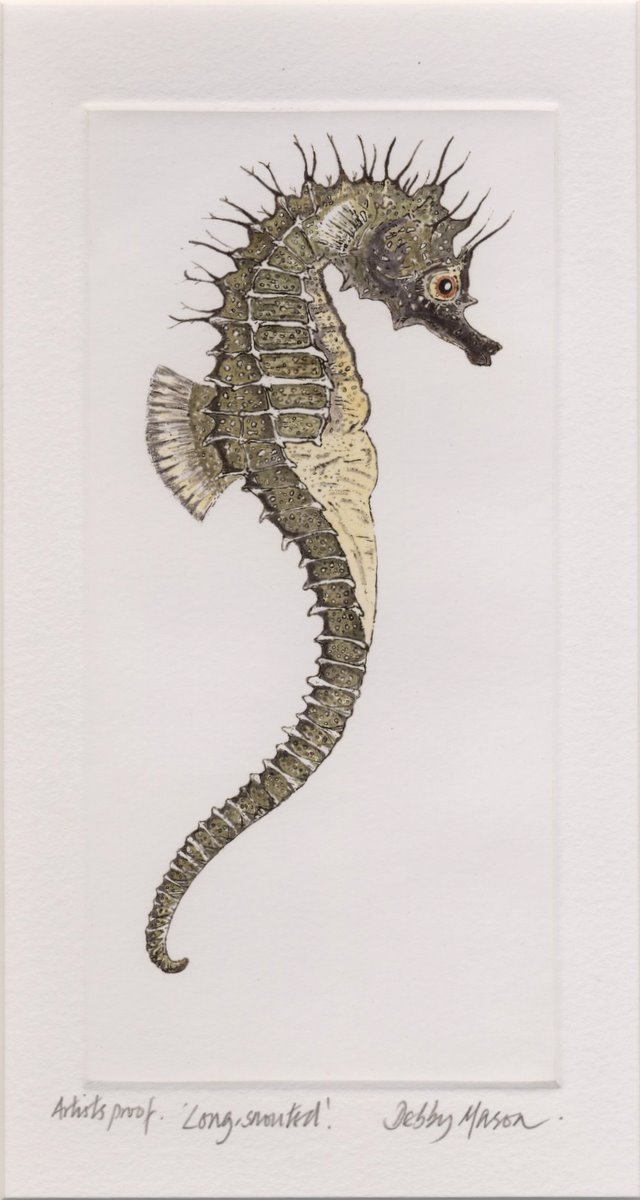 Long Snouted (Hippocampus guttulatus) Sea Horses Small Prints Hand