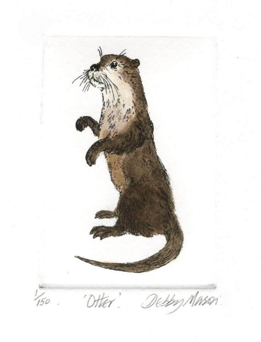 Otter - Mammals Small Prints Hand Coloured Etching Print by Artist