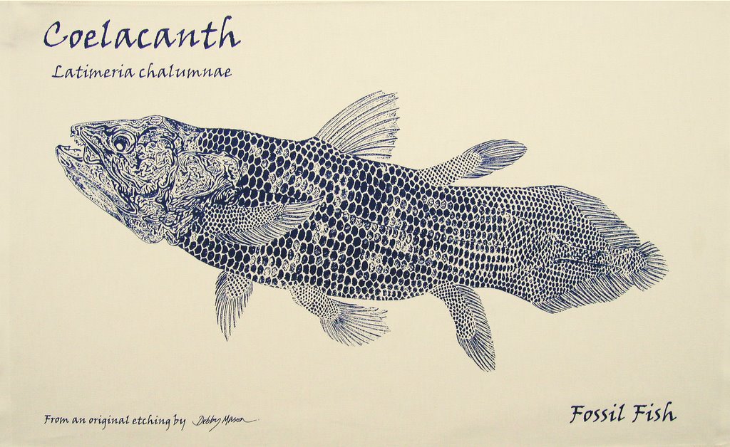 Coelacanth Tea Towel - My Designs Tea Towels Hand Coloured ...