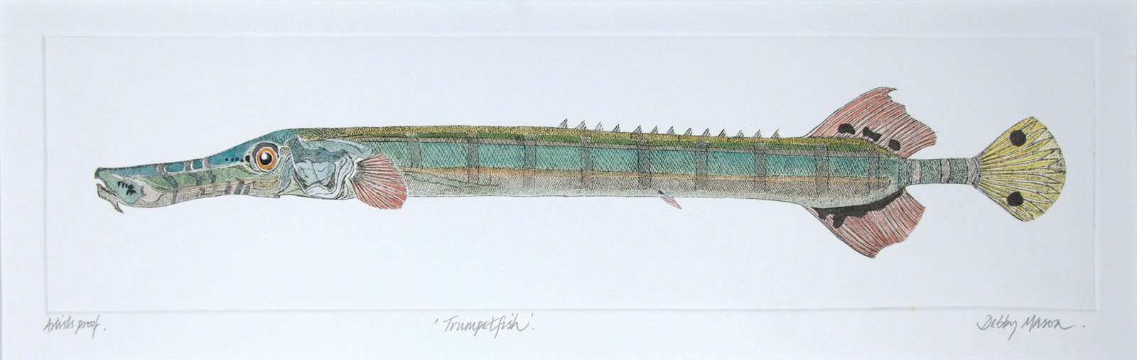 Trumpetfish Coral Seas Small Prints Hand Coloured Etching Print By Artist Debby Mason