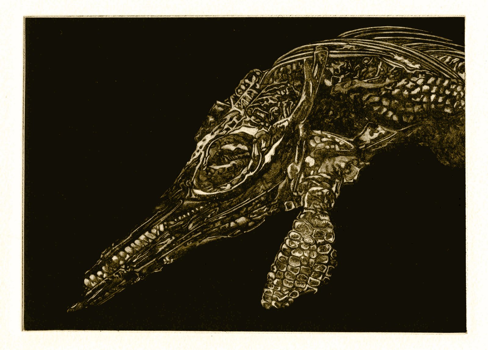 ichthyosaur coprolite