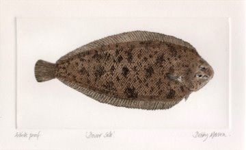 Dover Sole in 'Salt Water Fish (UK)'