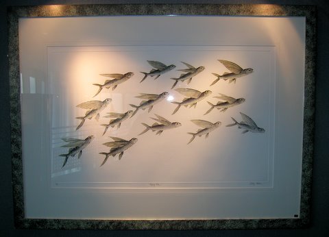 Flying Fish in 'Coral Seas'