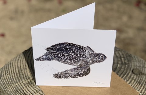 Leatherback Turtle Greetings Card