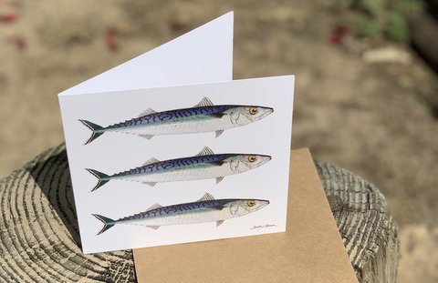 Mackerel Greetings Card