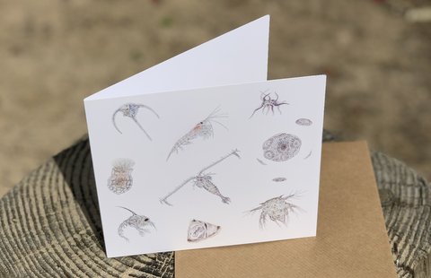 Plankton Greetings Card