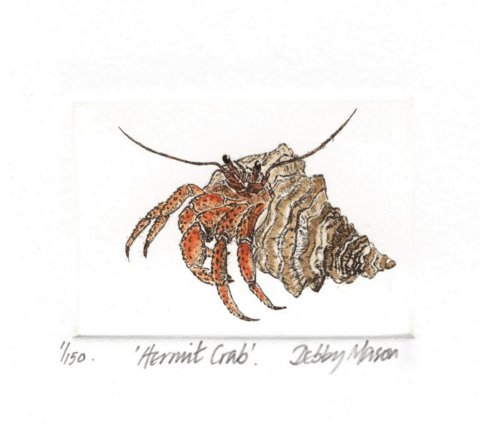 Hermit Crab in 'Crustaceans'