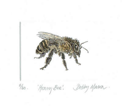 Honey Bee in 'Insects'