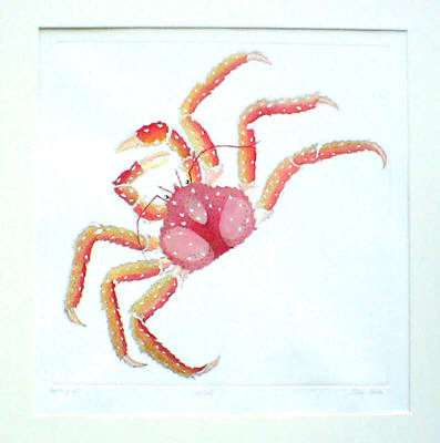King Crab in 'Crustaceans'