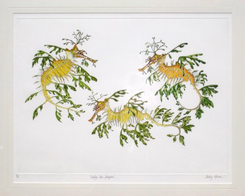 Leafy Sea Dragons - CURRENTLY UNAVAILABLE