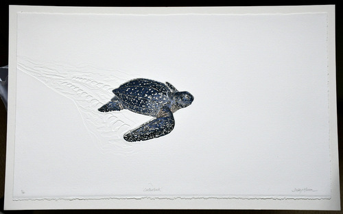 Leatherback Turtle in 'Reptiles'