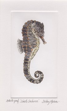 Lined Seahorse (Hippocampus erectus) in 'Sea Horses'