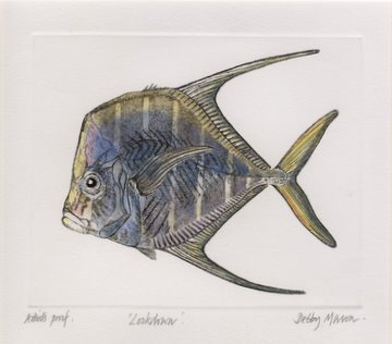 Lookdown in 'Coral Seas'