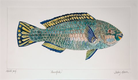 Parrotfish in 'Coral Seas'