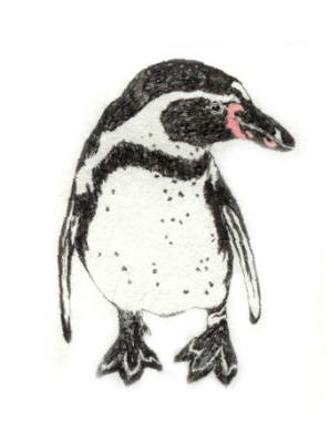Penguin in 'Birds'