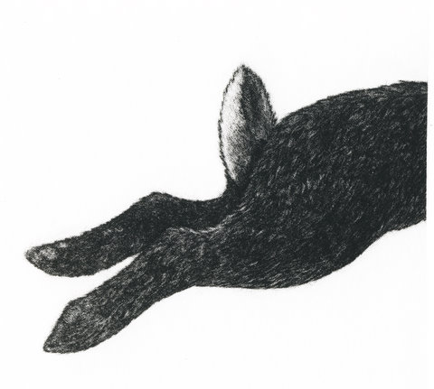 Rabbit II (From 'The Game Cook')