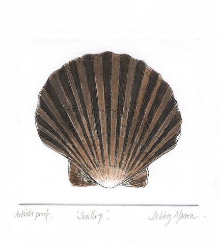 Scallop in 'Molluscs'