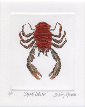 Squat Lobster in 'Crustaceans'
