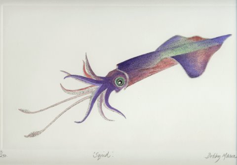 Squid II