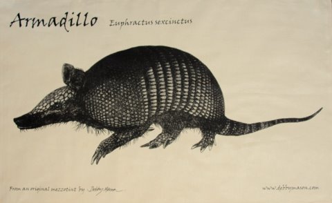 Armadillo Tea Towel - OUT OF STOCK in 'My Designs'