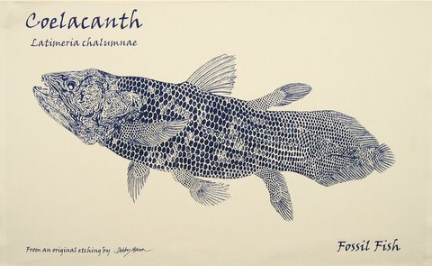 Coelacanth Tea Towel in 'My Designs'