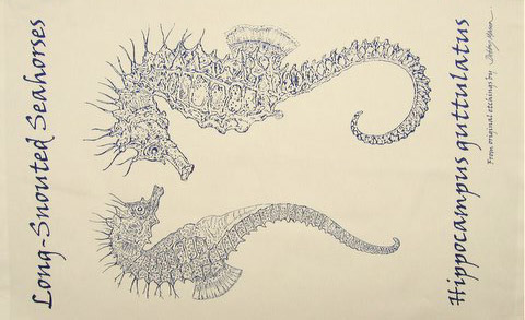 Sea Horses Tea Towel in 'My Designs'