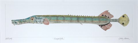 Trumpetfish in 'Coral Seas'