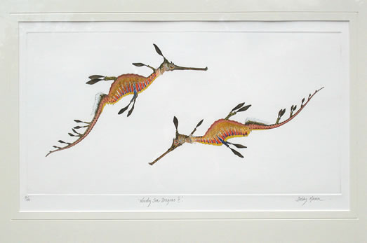 Weedy Sea Dragons II in 'Sea Dragons'