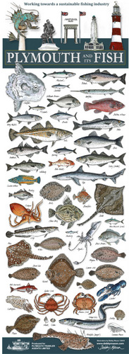 Plymouth & Its Fish Poster (50 Species) in 'Sea Horses'