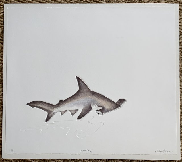 Hammerhead Shark Hammerhead Shark