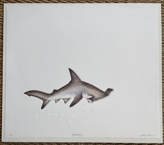 Hammerhead Shark